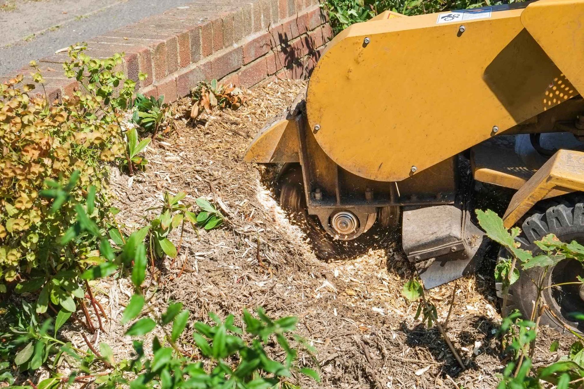 Stump Removal and Grinding, North Vancouver, BC