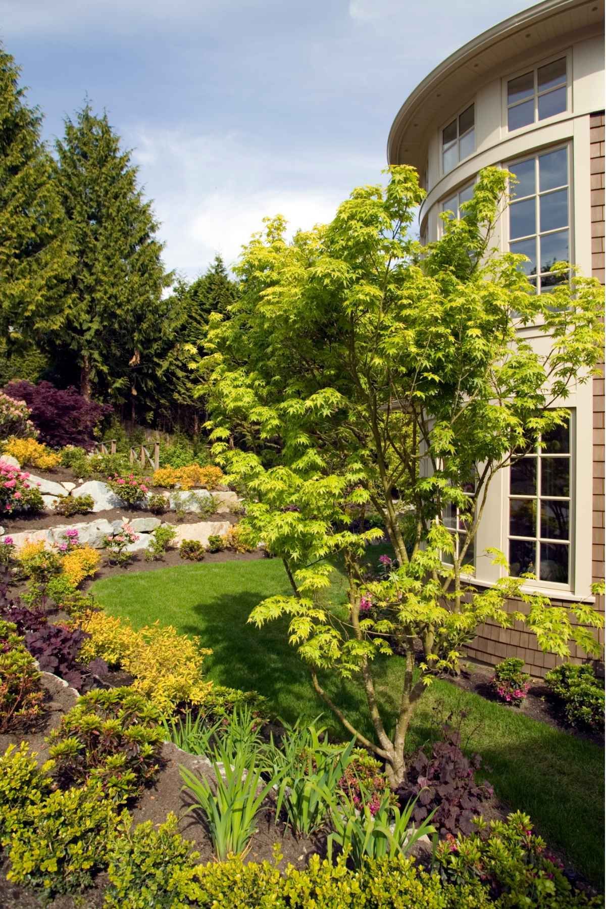 front yard landscaping