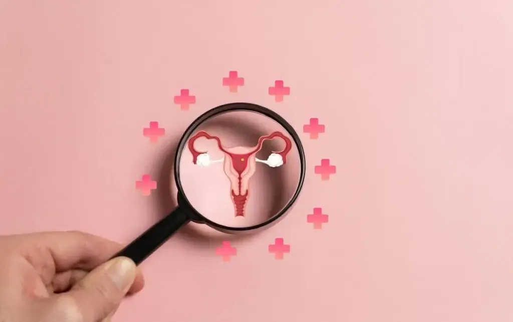 Hand holding magnifying glass over diagram of female reproductive system surrounded by pink plus signs.