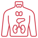 Red outline of a torso with lungs, heart, and stomach, suggesting internal organs or medical anatomy.