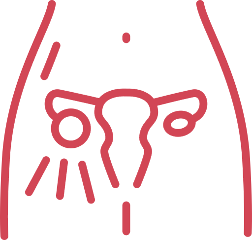 Simple red line icon of a uterus and ovaries with radiating lines on a white background