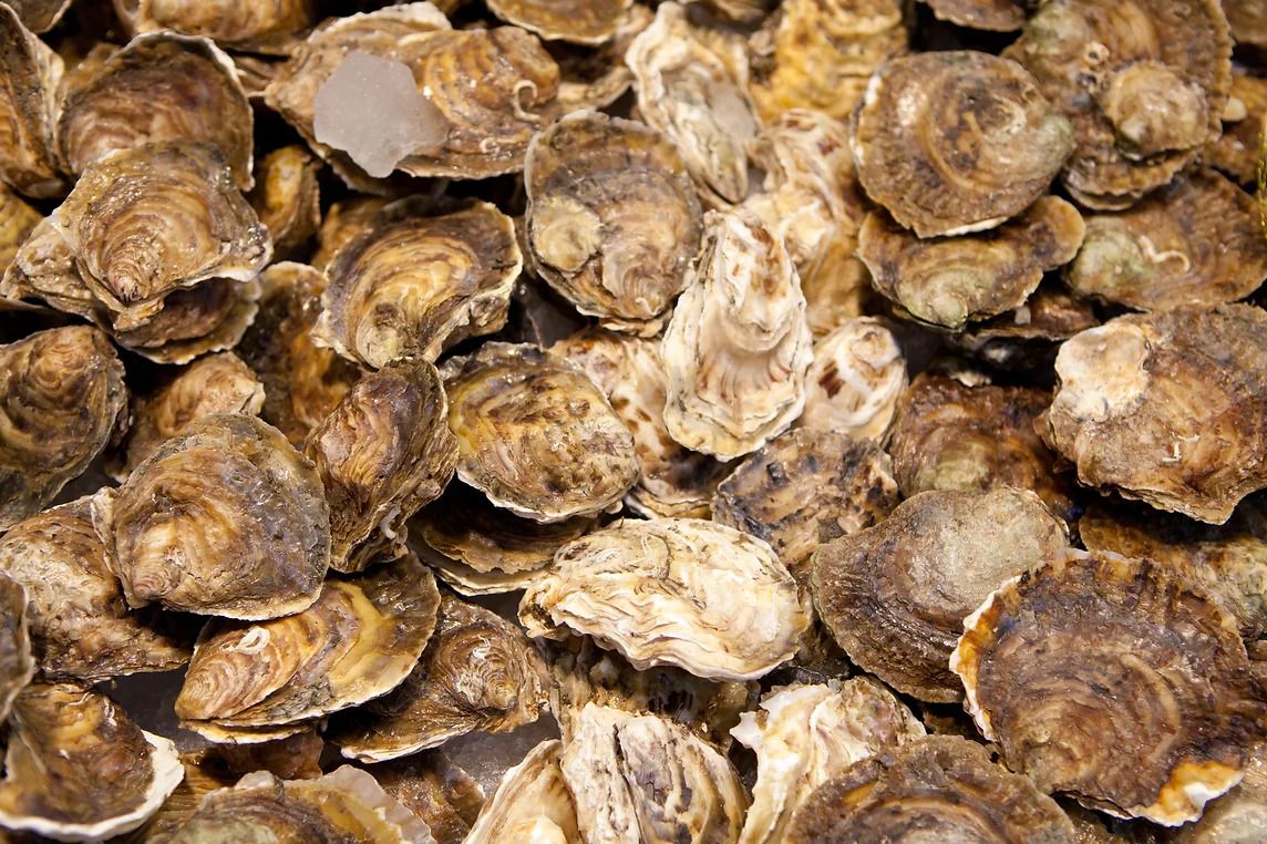 Captree Clam and Seafood Fresh Seafood in West Babylon, NY