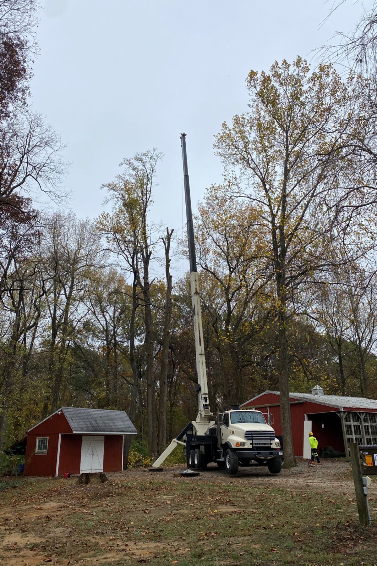 Truck with bucket lift beside red cabins in a wooded yard under a gray sky