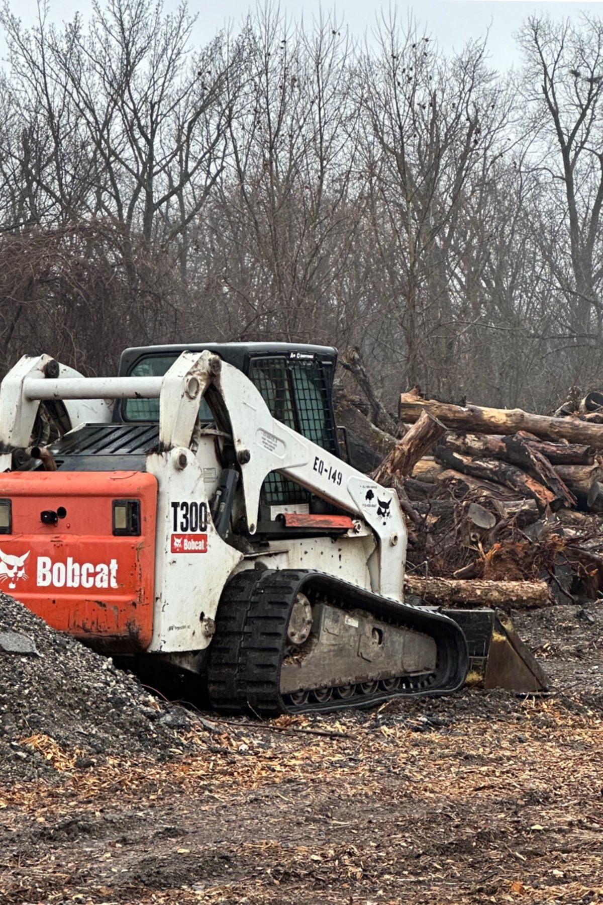 Bobcat skid steer loading logs in a wooded clearing