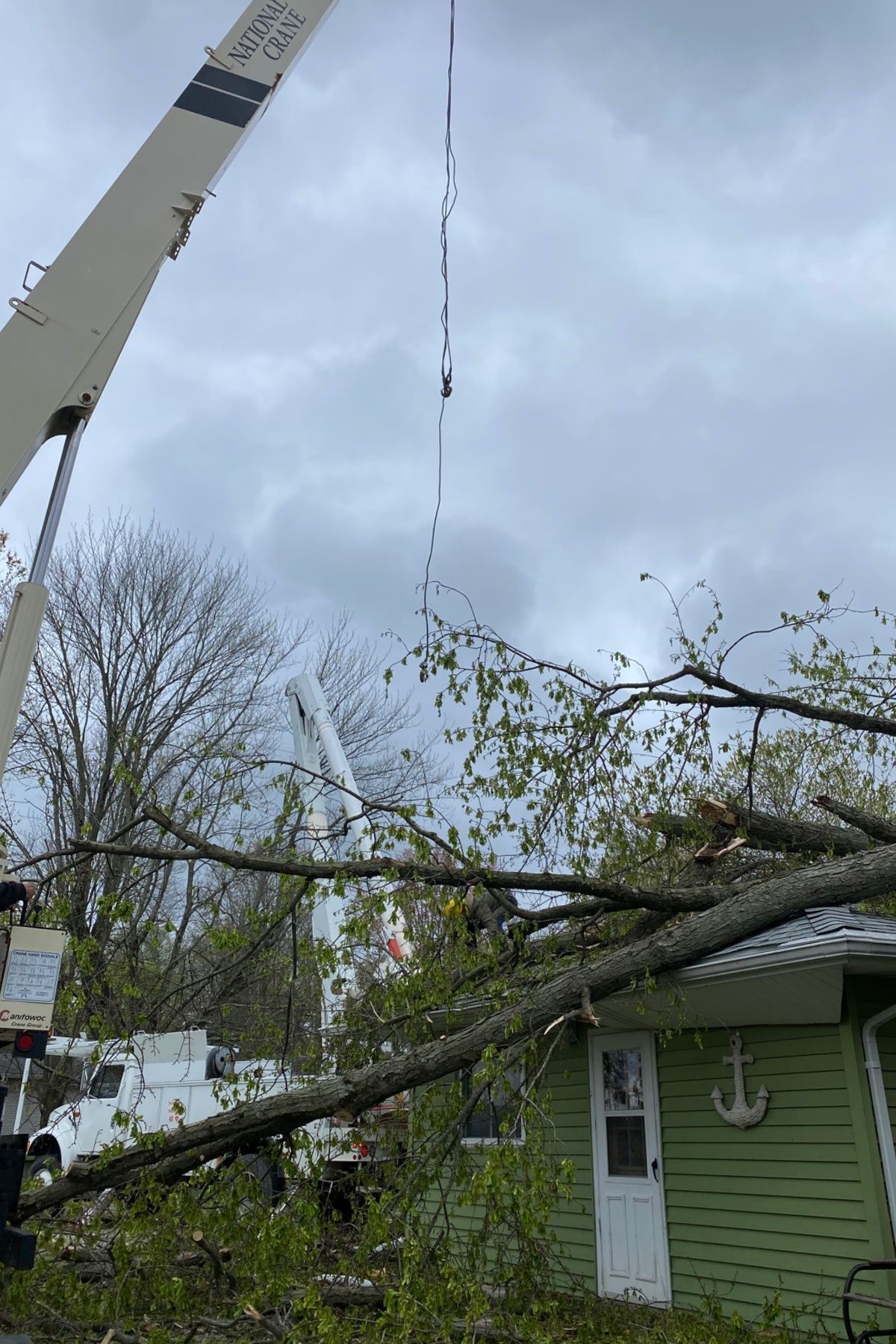 Crane removing a fallen tree limb beside a green house under a cloudy sky