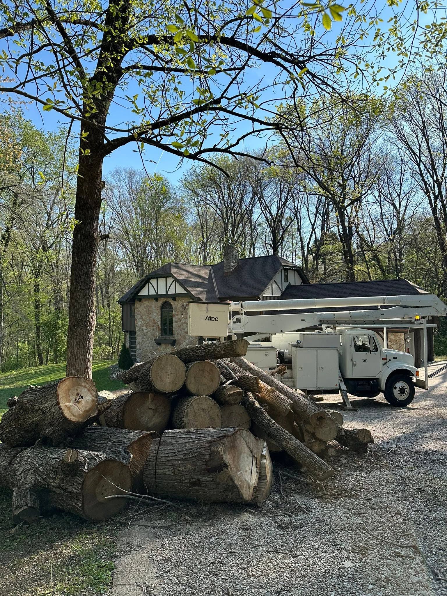 Pile of cut logs beside a gravel driveway with a white utility truck and house in the background