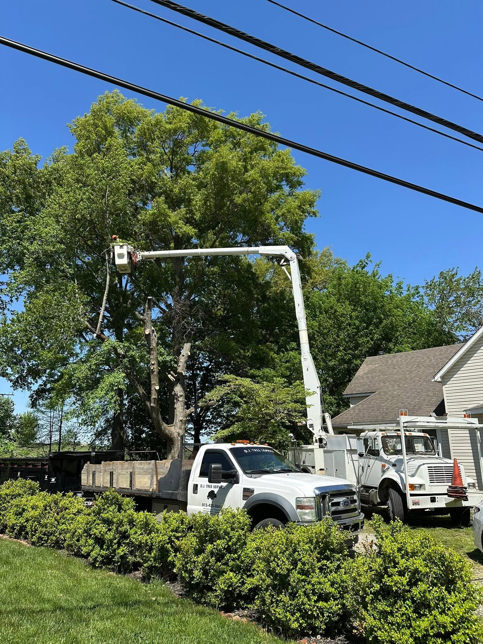 Utility truck with raised bucket lift trimming a tree beside a house on a sunny street