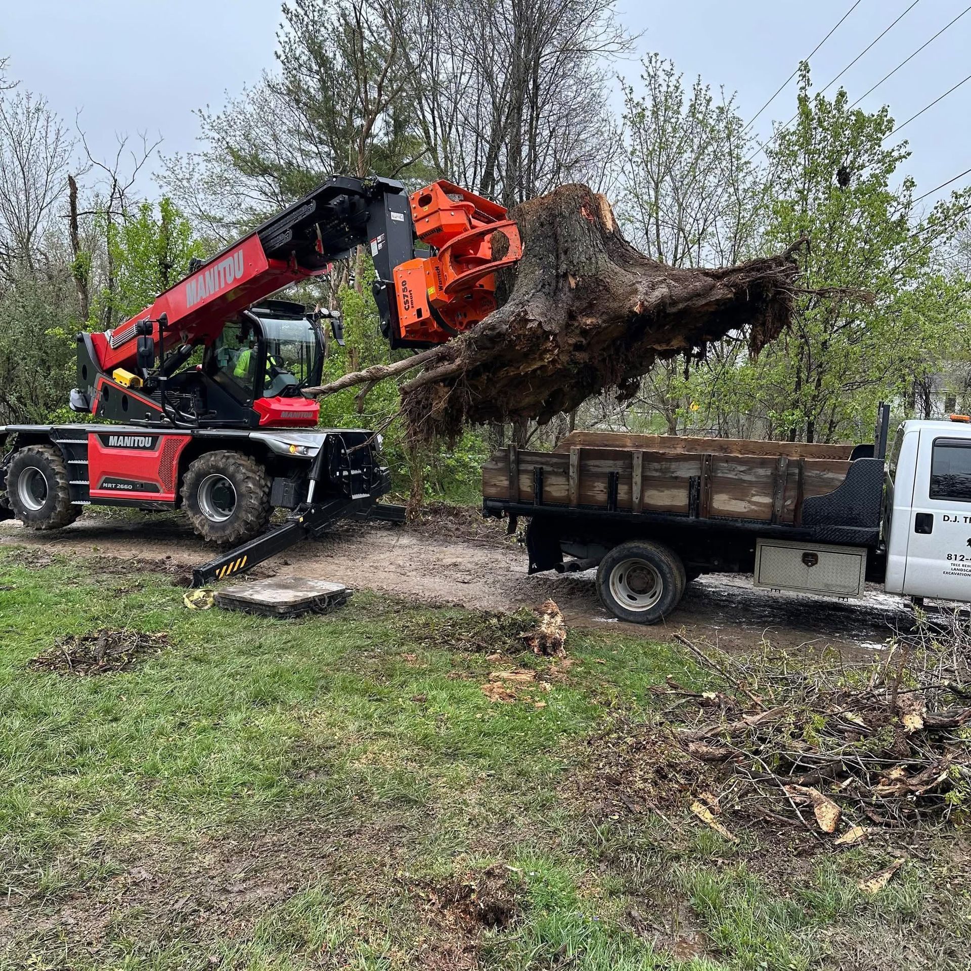 Red loader lifting a large tree root ball over a dump truck in a muddy yard
