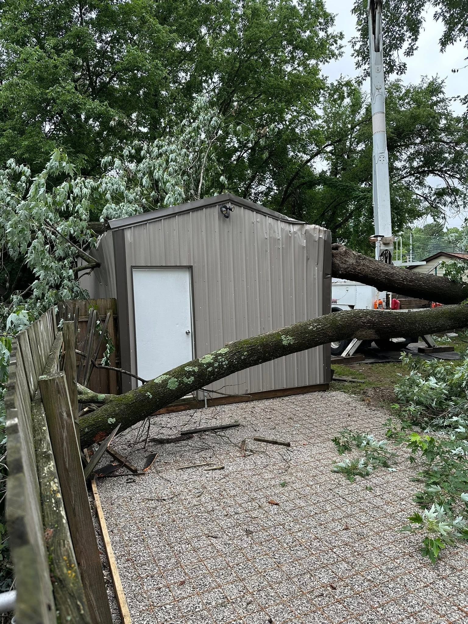 Small shed with a white door, partly blocked by a fallen tree in a rocky yard.