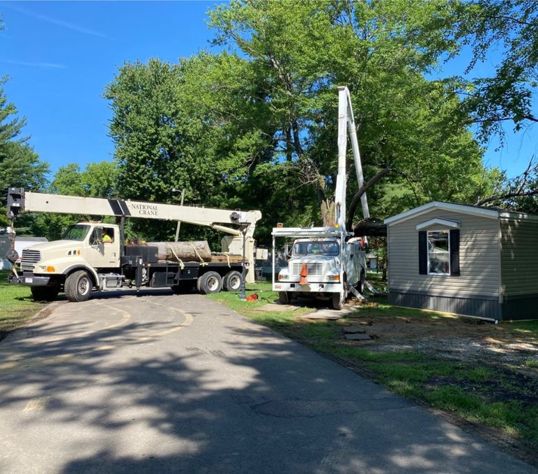 Two utility bucket trucks parked on a driveway beside a small house and trees under a bright blue sky