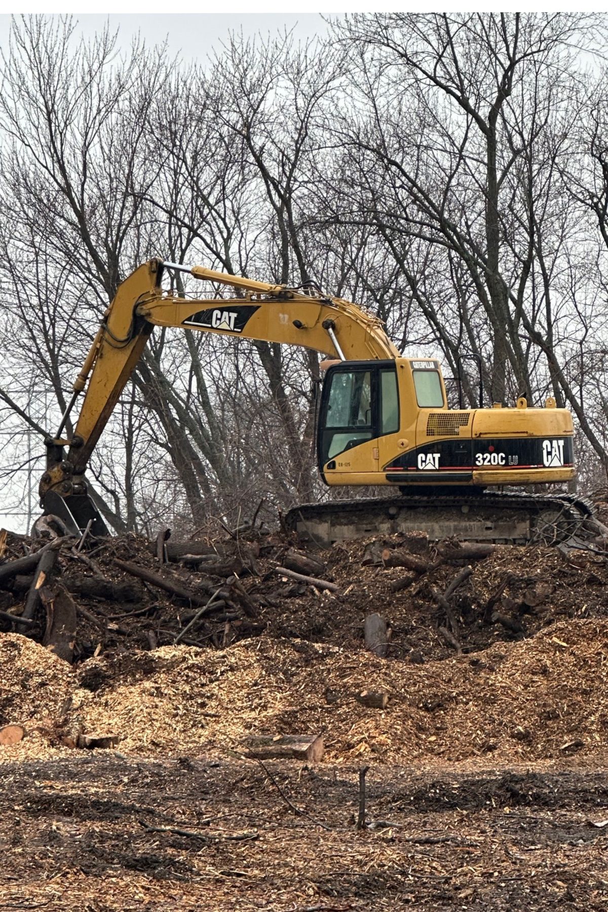 Yellow excavator clearing brush on a muddy wooded lot