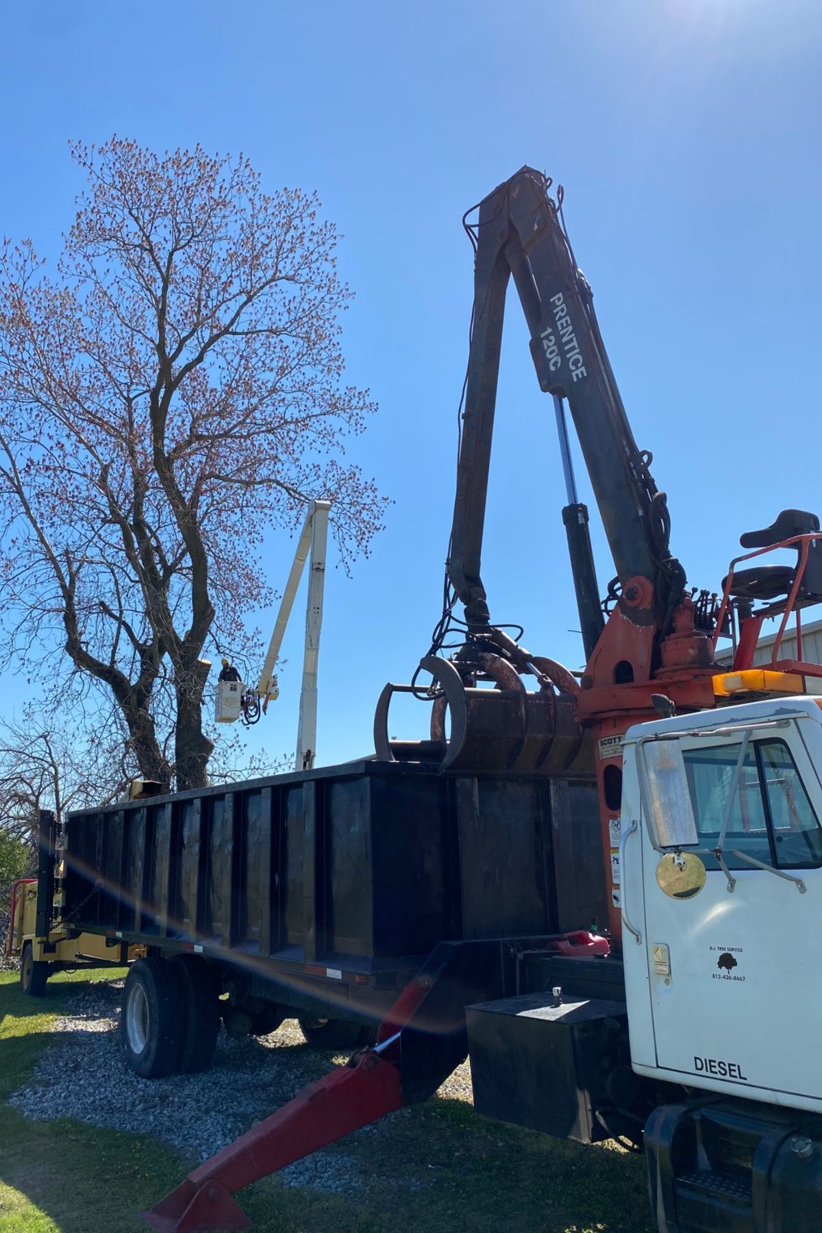 White truck with crane lifting a large black dumpster beside a tree on a sunny street.
