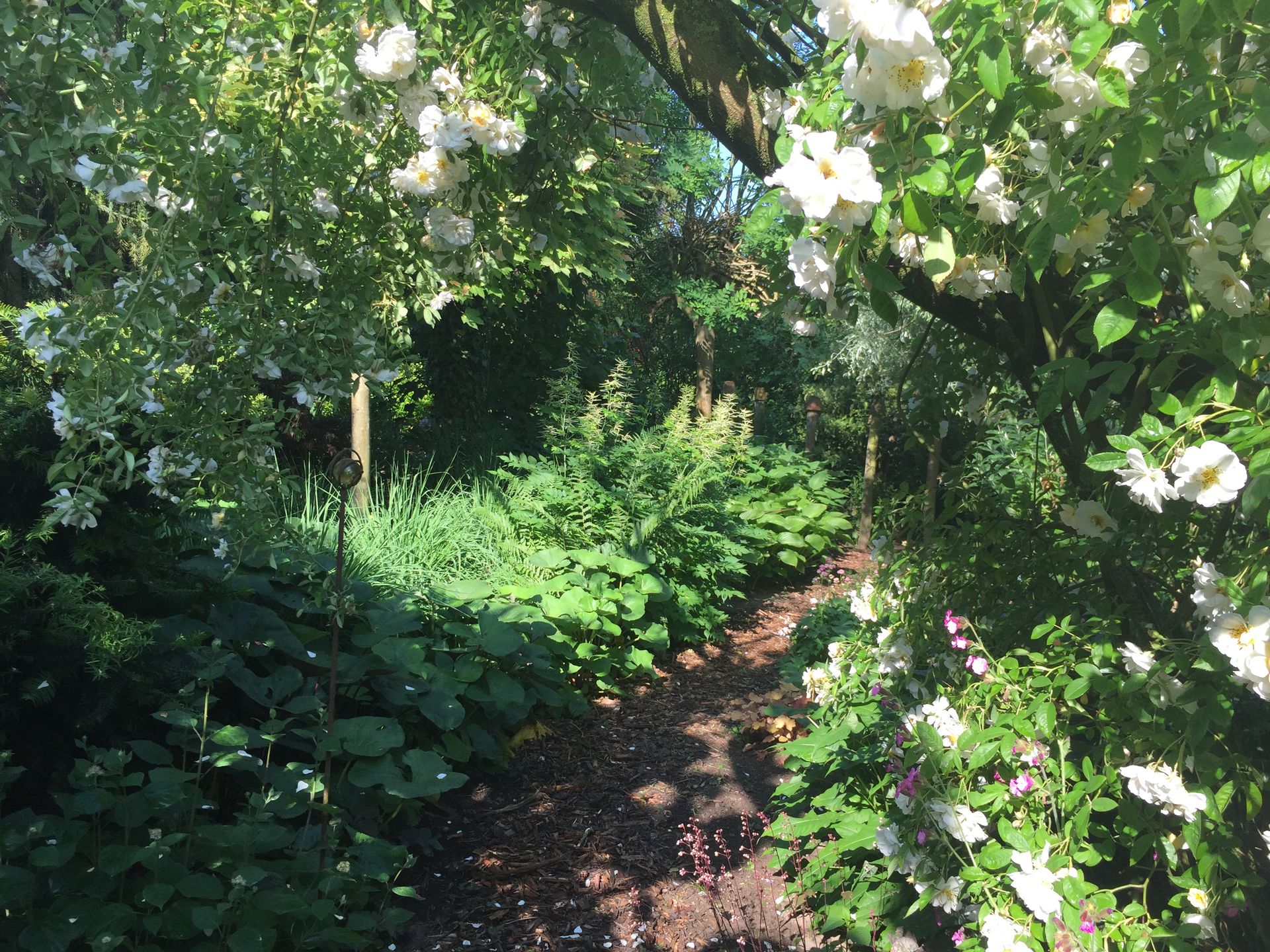 De Verborgen Tuin | Impressie