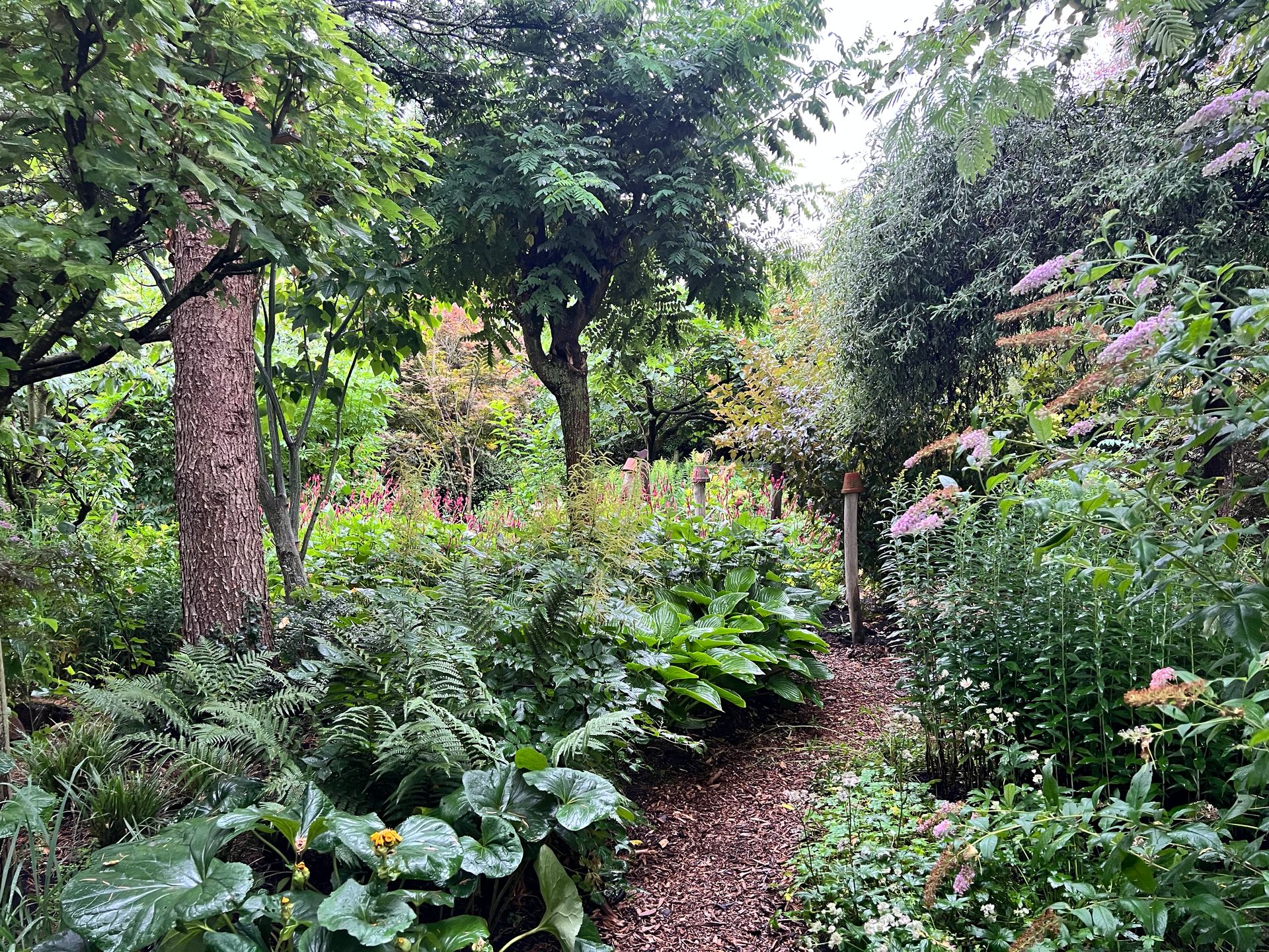 De Verborgen Tuin | Impressie