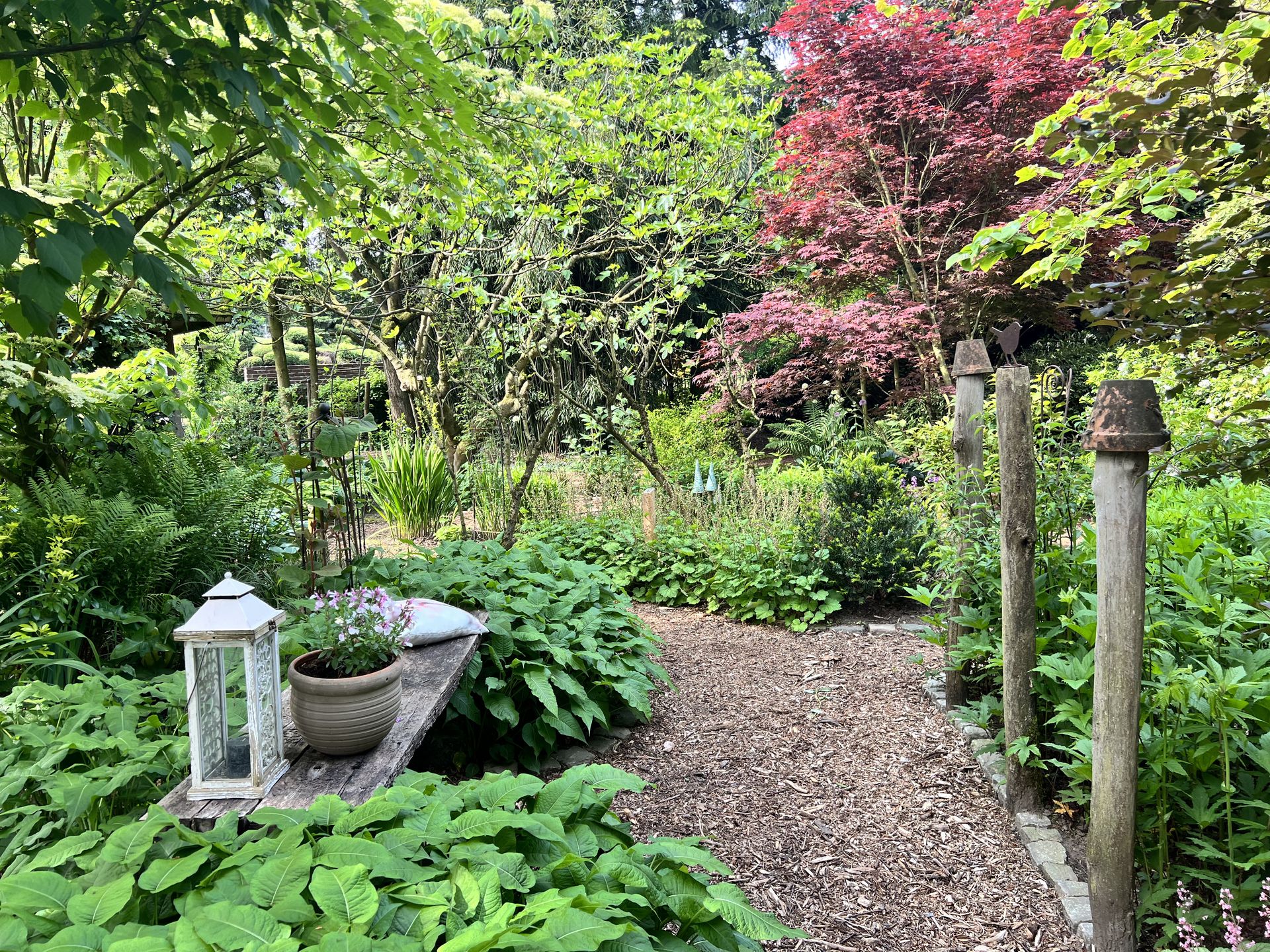 De Verborgen Tuin | Impressie