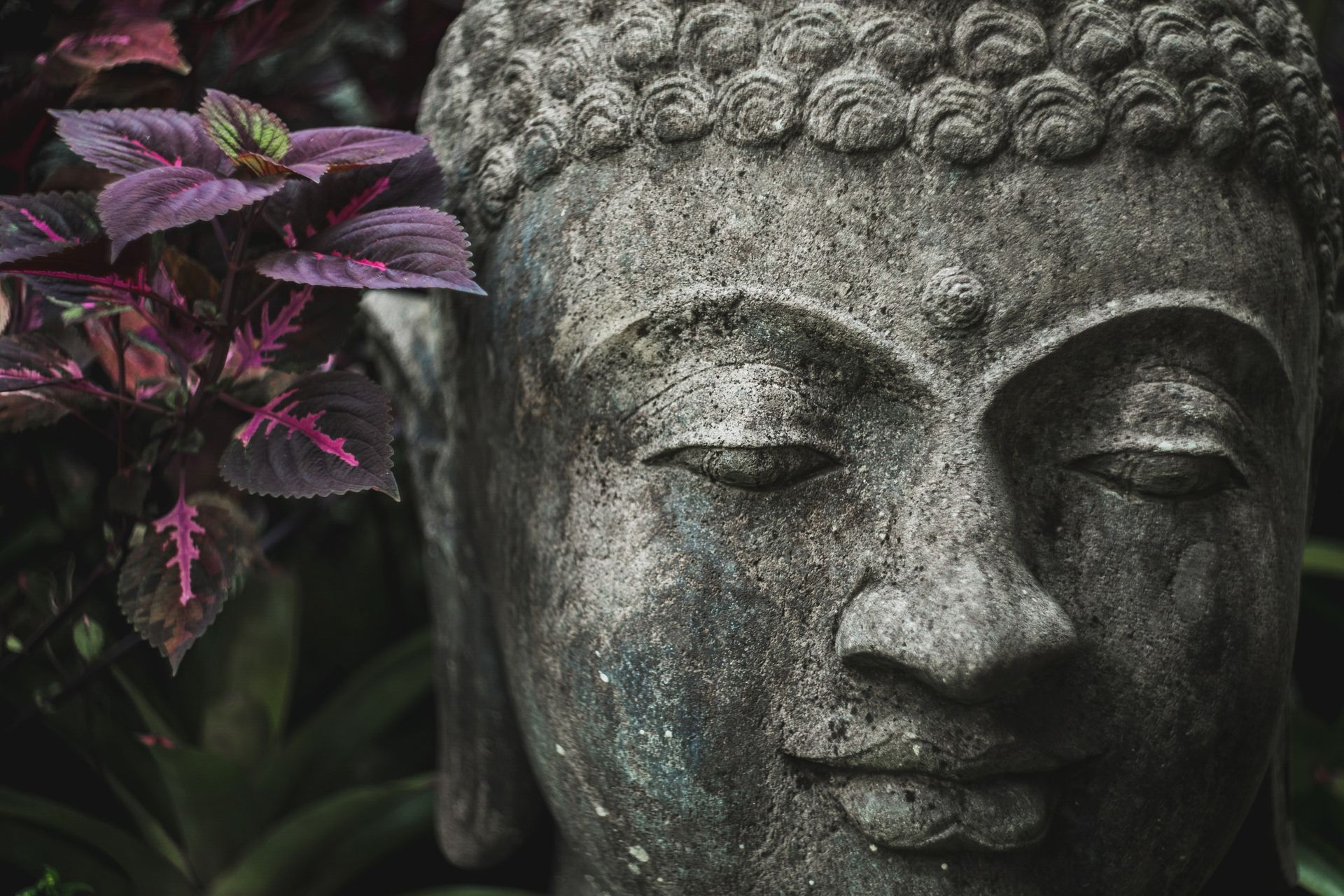 Mindfulness Wijze Kracht