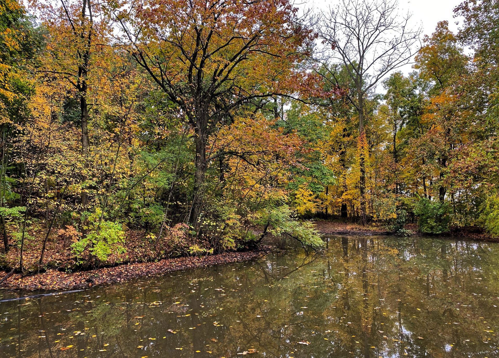 Flat Rock Brook Nature Center woodland trails near Meridia Little Ferry Bergen County NJ - 13 minutes away