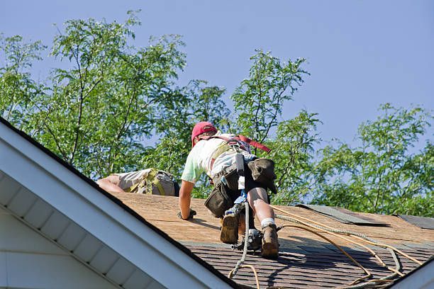 Workers in safety harnesses install shingles on a residential roof against a background of green trees and blue sky.