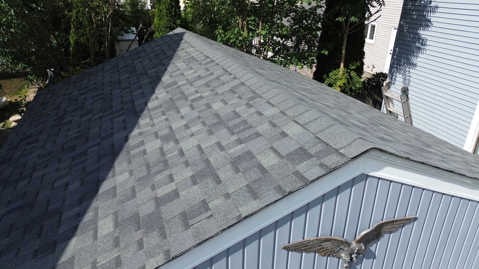A high-angle view of a gray shingled roof next to blue vinyl siding, featuring an eagle wall decoration.