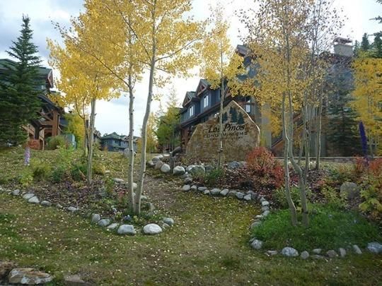 Los Pinos community photo