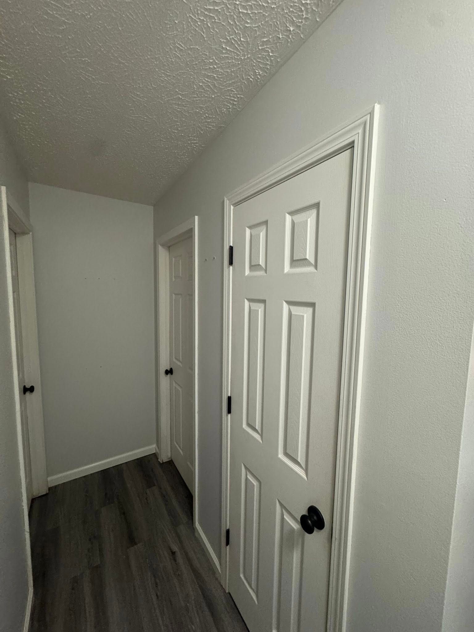 Narrow hallway with white paneled doors, gray walls, and dark wood flooring.