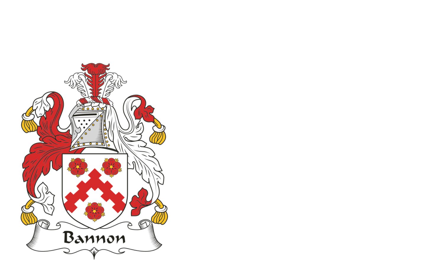 Bannon Home Inspections