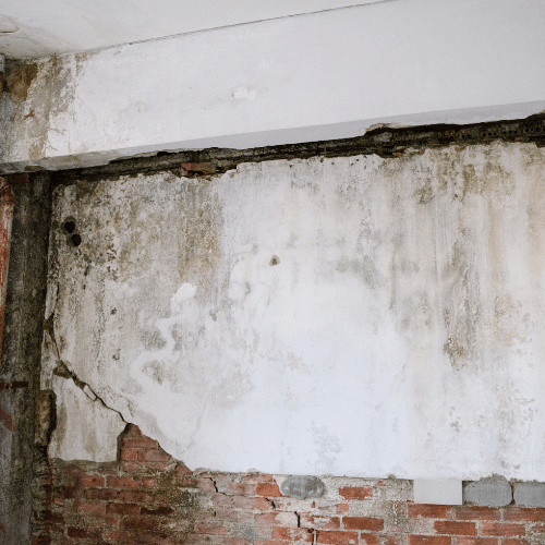mold