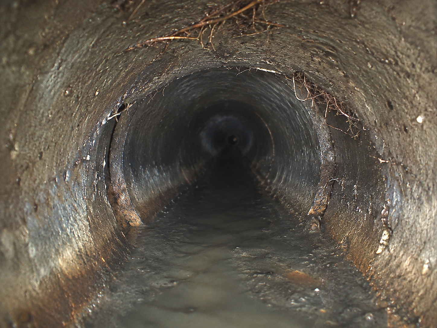 Camera view inside a sewer line during inspection