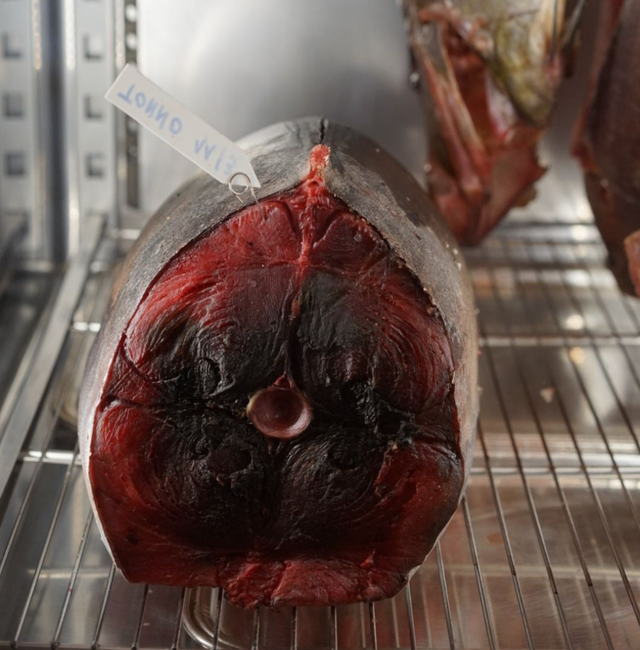 Dry aged fish
