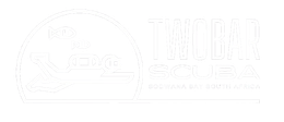 White logo with a rounded emblem on the left and large text reading “THE BAR” on the right.