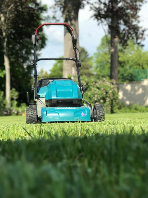 Blue toy car on grass, with a handle, in a sunny outdoor yard.