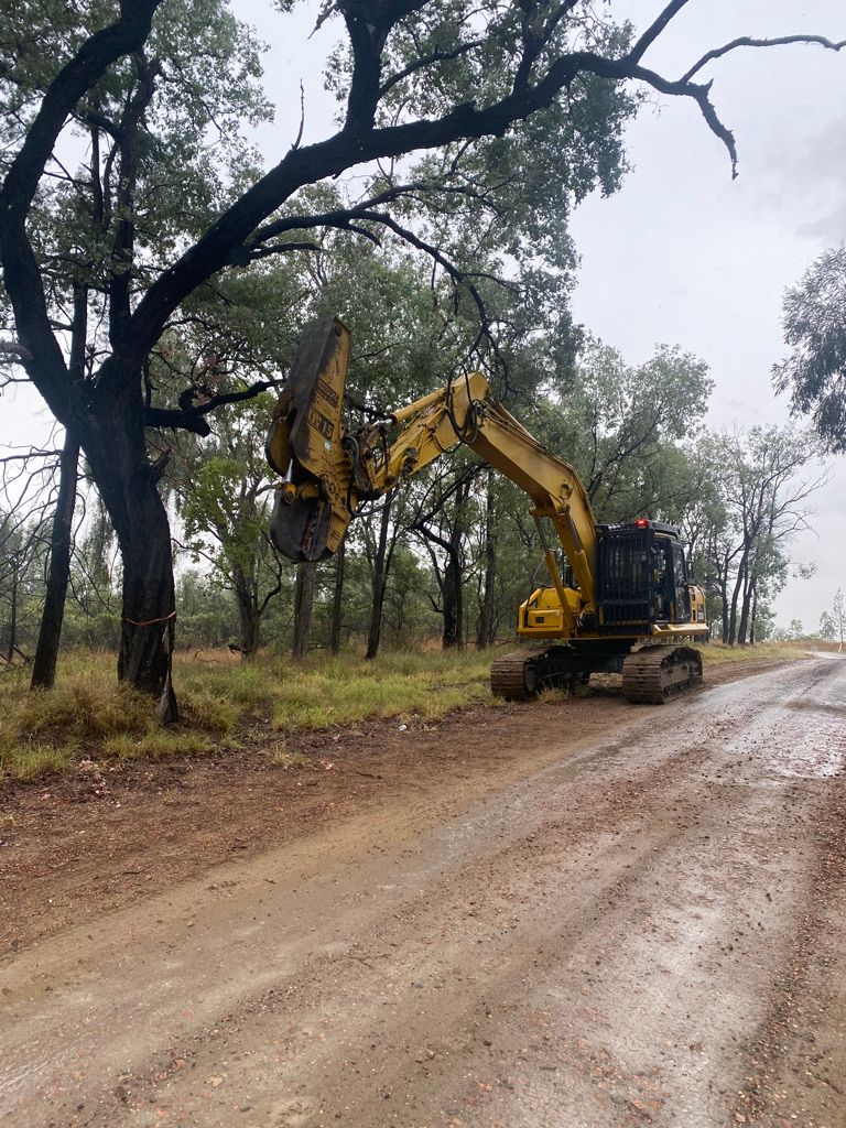 Professional Arborist is Ready to Trim some Tree — Arborist in Toowoomba, QLD