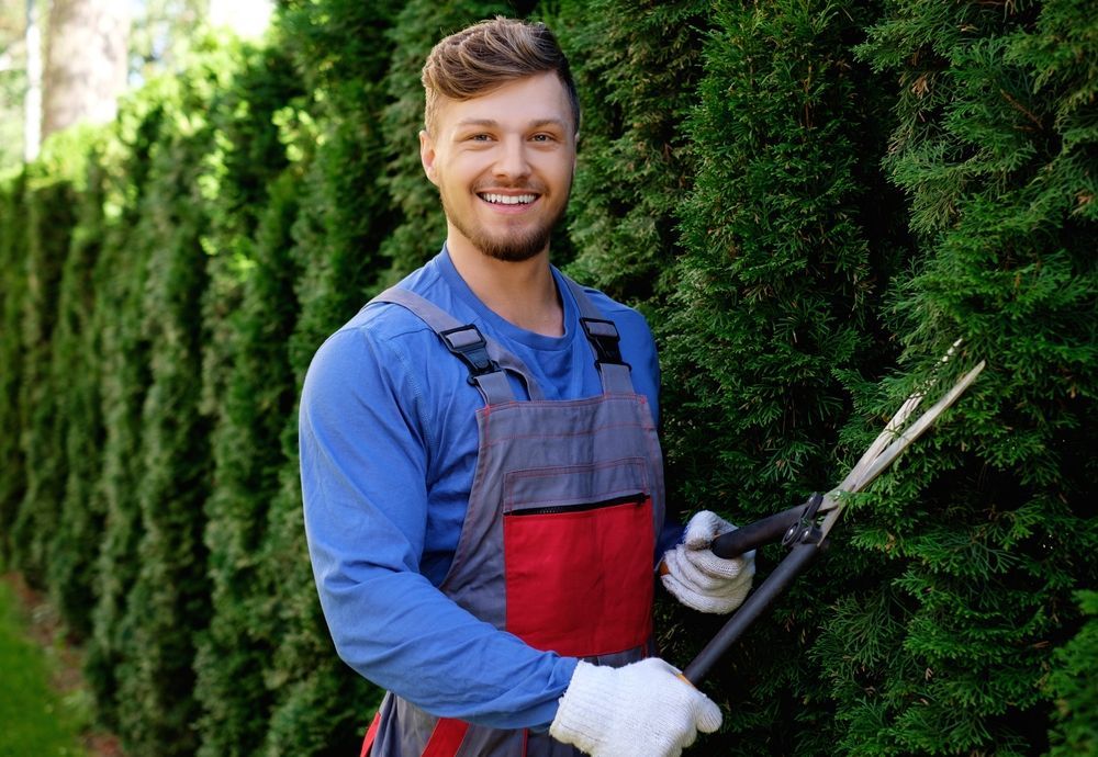 A Tree Lopping — Tree Services in Toowoomba Region