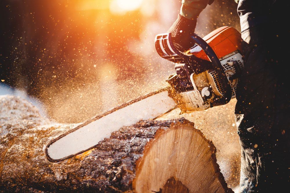 A Tree Lopping — Tree Services in Toowoomba Region