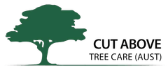 Cut Above Tree Care: Professional Tree Services in the Toowoomba Region Cut Above Tree Care: Professional Tree Services in the Toowoomba Region
