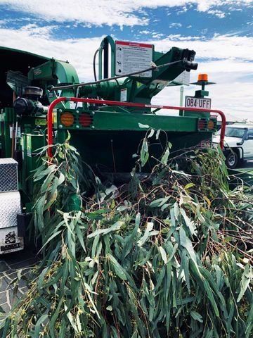 Tree Branches going into the chipper — Tree Services in Toowoomba Region