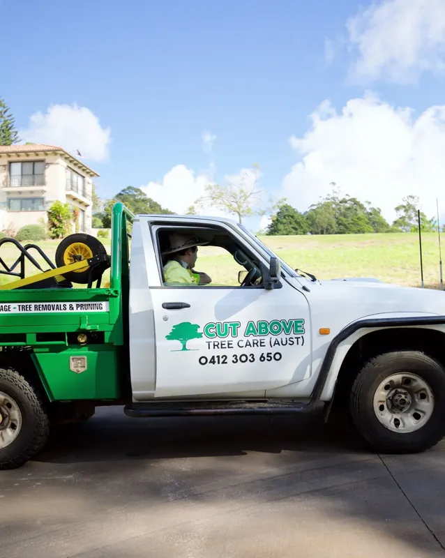 Company Car— Tree Services in Toowoomba Region