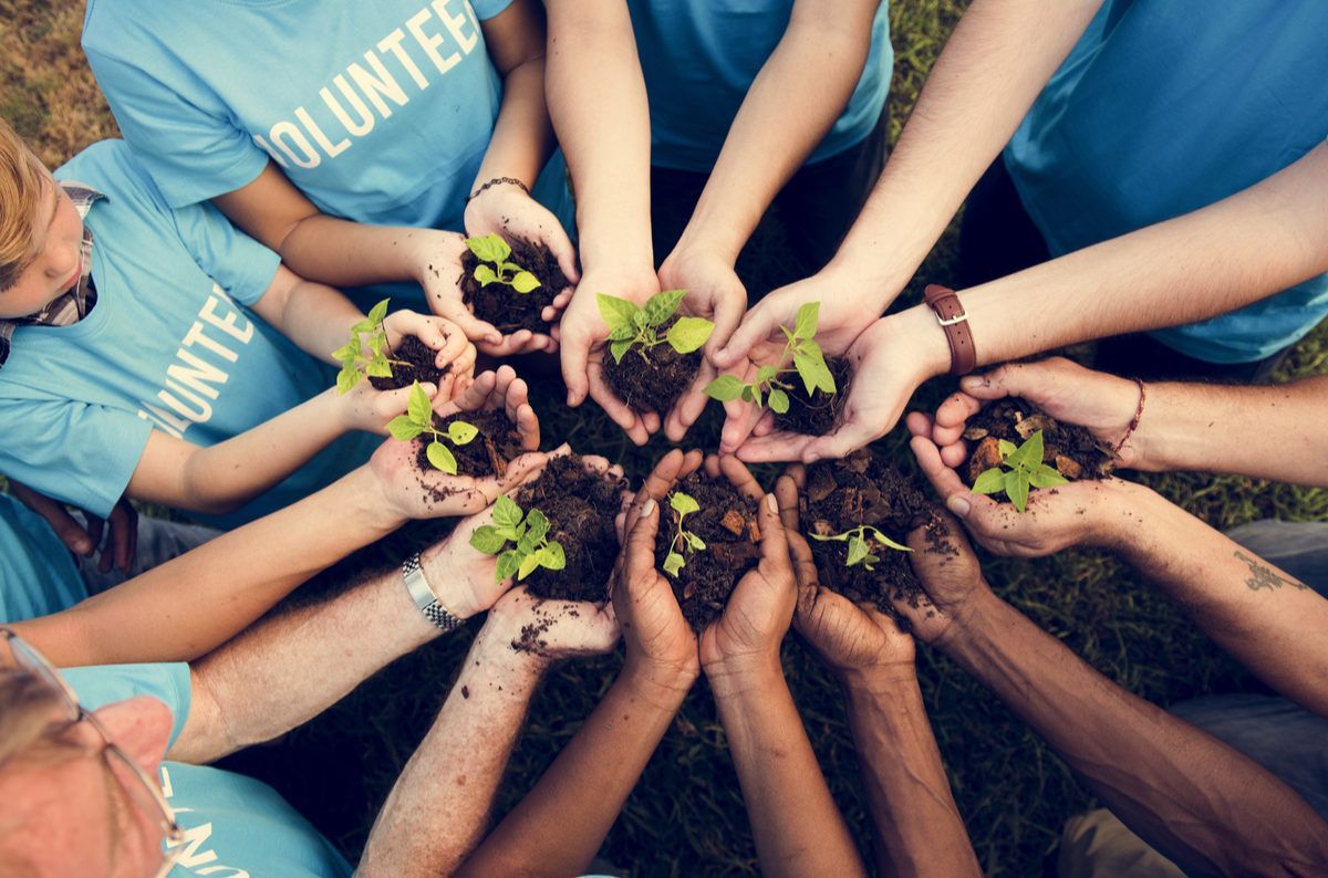 Volunteers in blue shirts holding seedlings in cupped hands, surrounded by soil; outdoors.