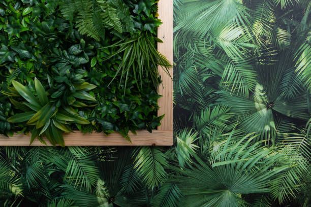 wall to wall murals in miami dade