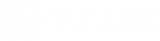 Bullsai White Logo - Web Design Company
