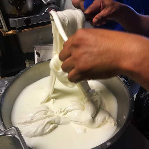 Making Fresh Mozzarella