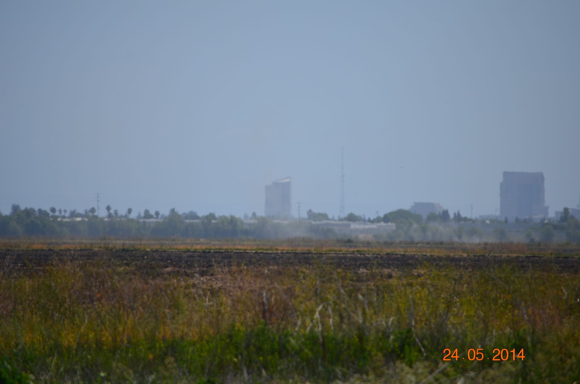 Hazy field with tall grass in the foreground and distant buildings under a gray sky