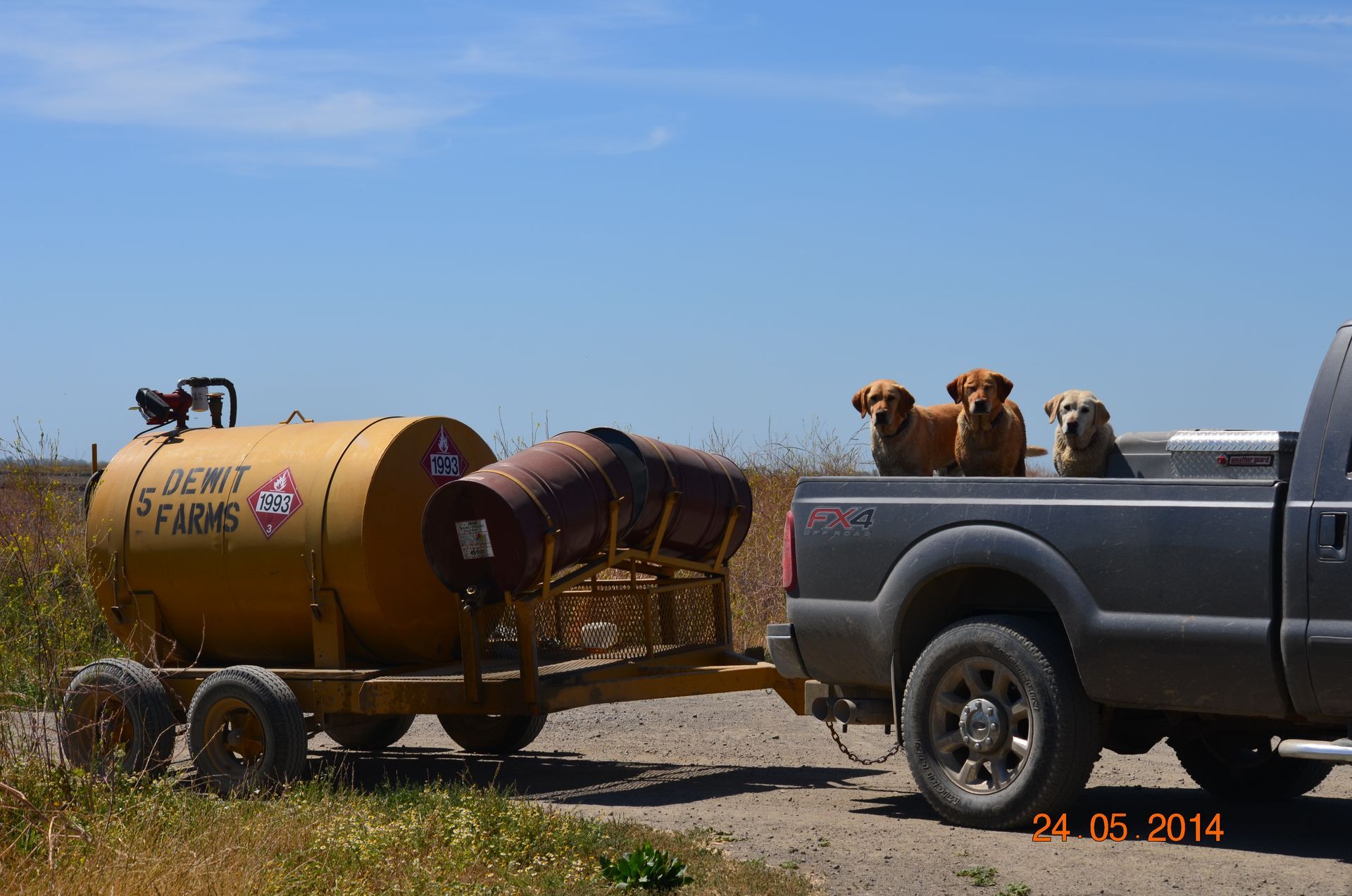 Pickup truck towing a small concrete mixer trailer with two dogs riding in the truck bed on a dirt road