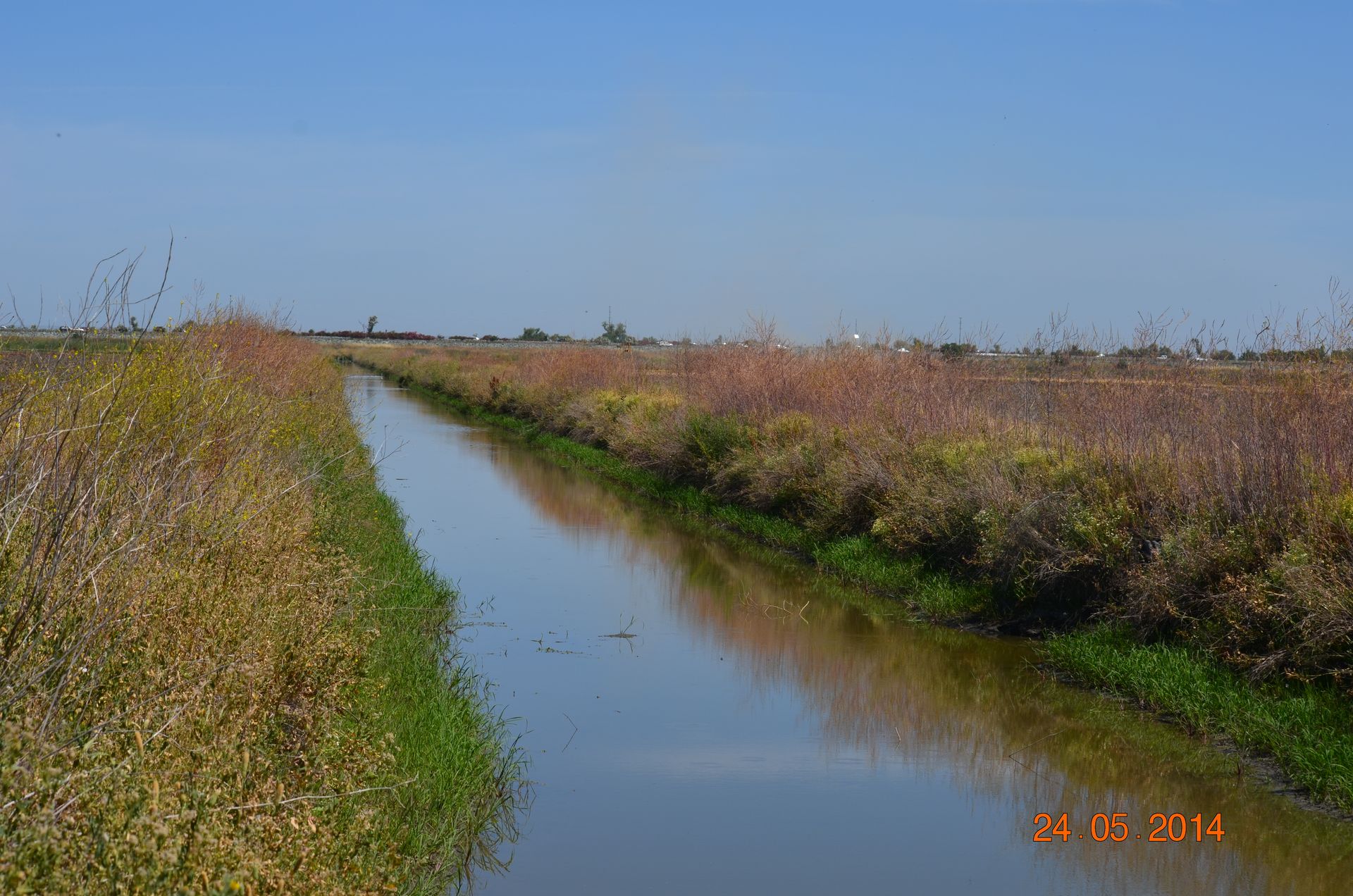 Narrow canal reflecting blue sky, bordered by grassy banks and dry wildflowers under a clear horizon.