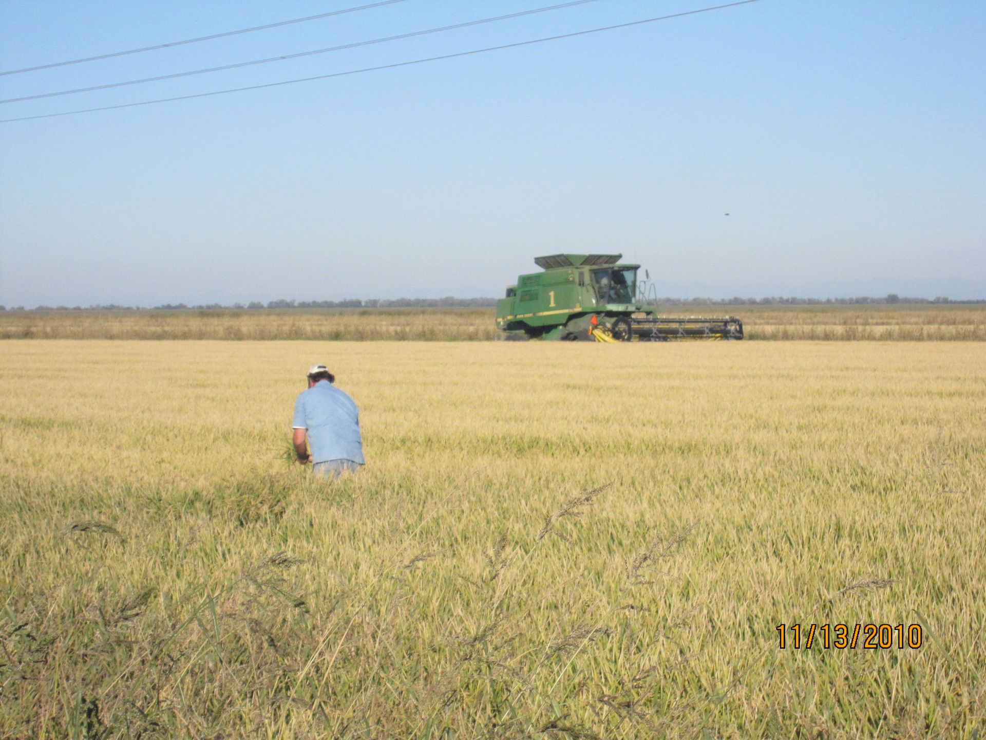 Person in blue kneels in a golden field near a green combine harvester under a clear sky