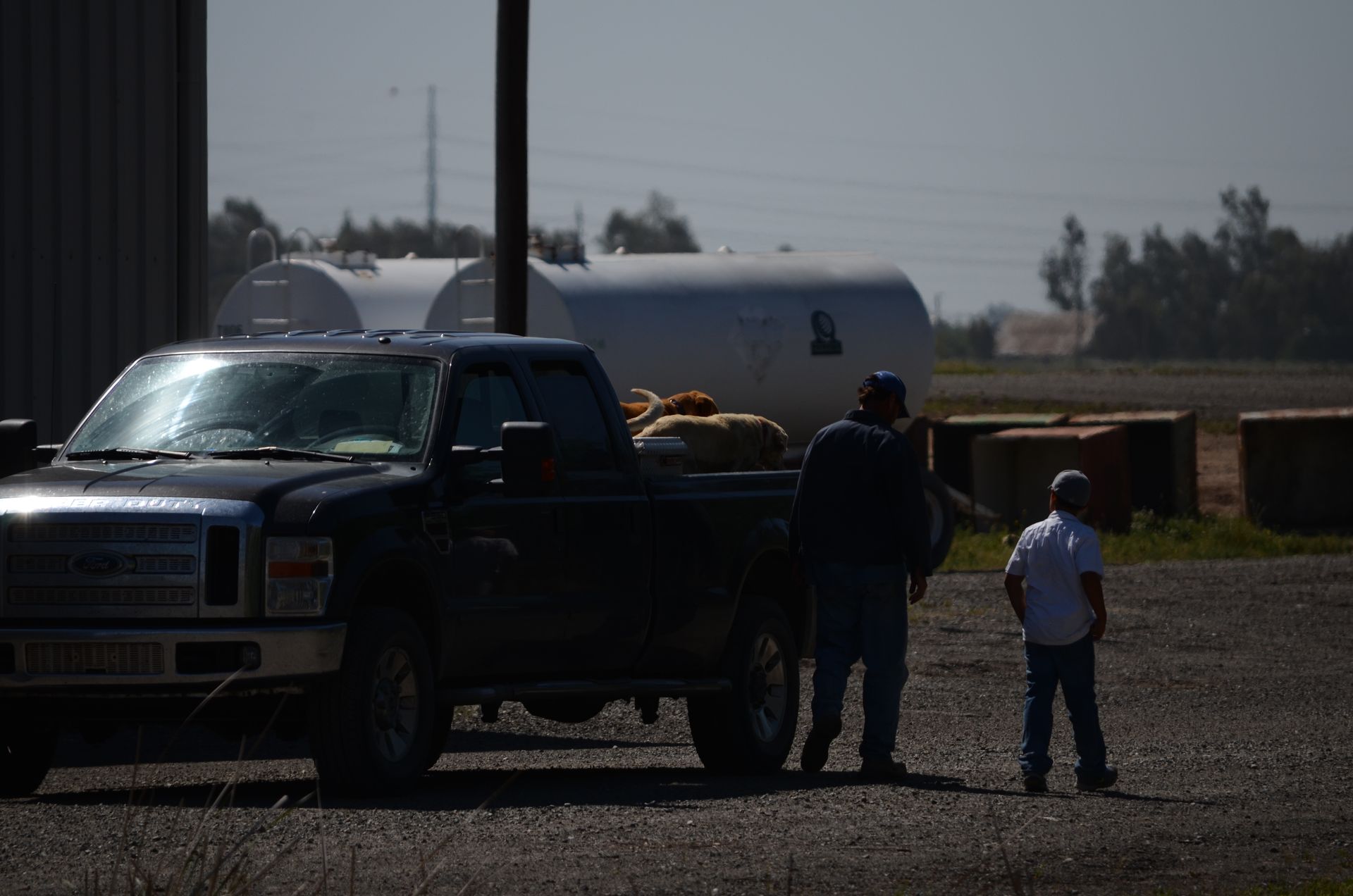 Two people stand beside a black pickup truck in a rural lot under bright sunlight.