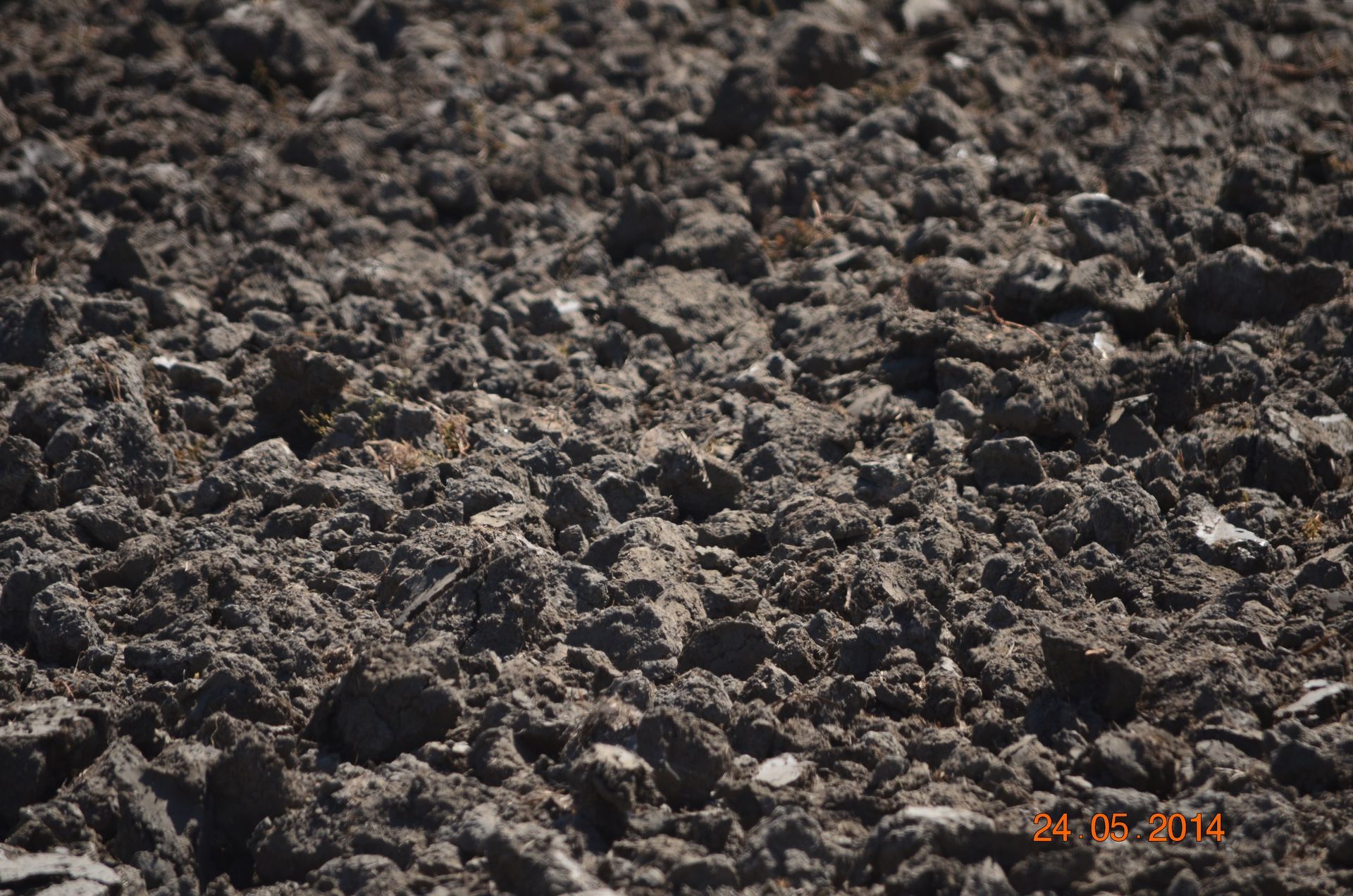 Close-up of rocky, dark soil or gravel ground texture with small stones.