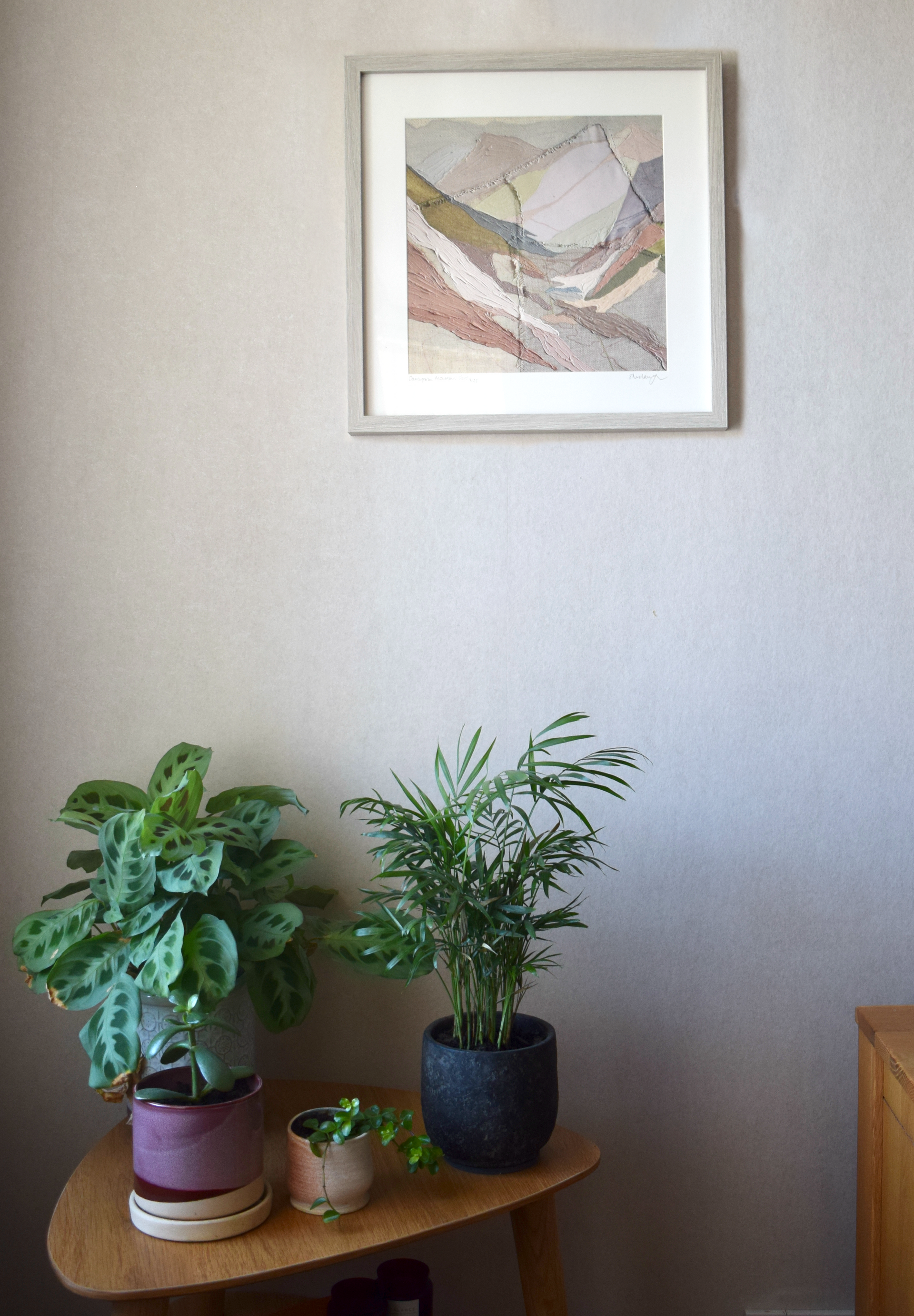 photo of a framed art print on cream wall with green plants on table below