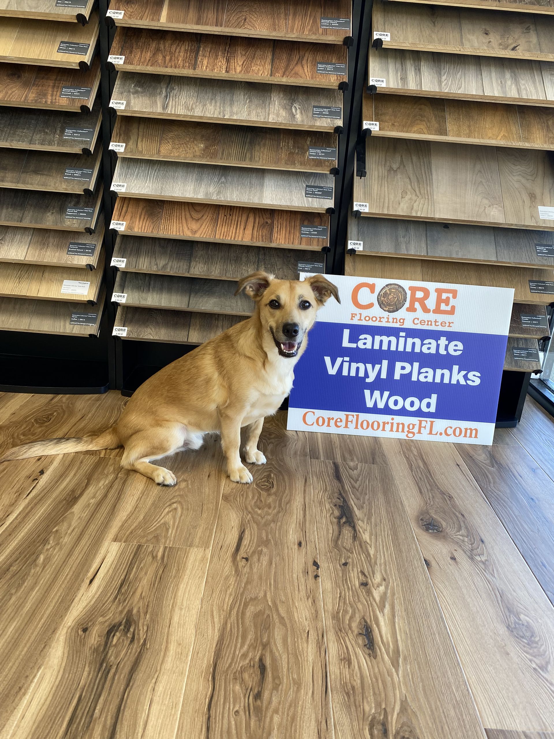 Top Reasons to Choose Laminate Flooring for Your Winter Park, FL Home