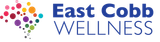 East Cobb Wellness logo with blue text and a multicolor dot cluster icon